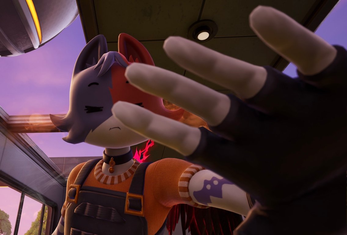 Daily Cate Meowdy tweet media