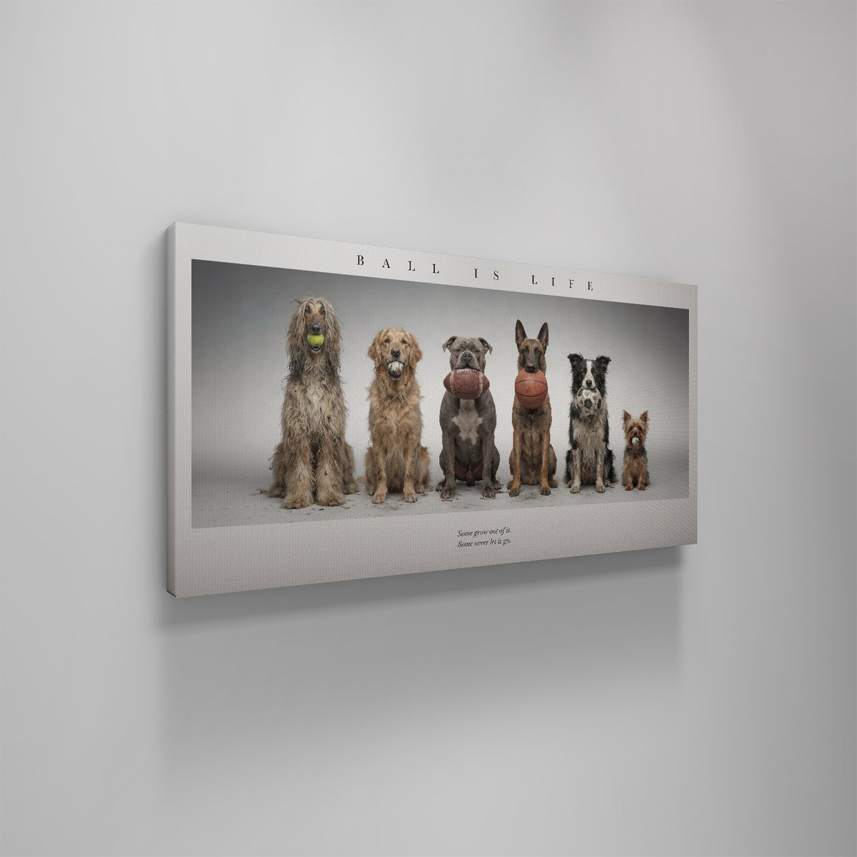 ikonick_xyz's tweet image. some grow out of it, some never let it go… 🎾⚾️🏈🏀⚽️
Shop our new ‘Ball is Life’ Piece @ the 🔗 in Bio!

#BallIsLife #CanvasArt #IKONICK