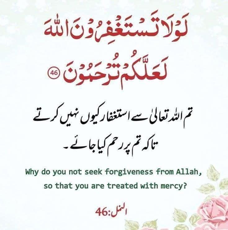 Sayrah Shams🇵🇰🇸🇦 tweet media