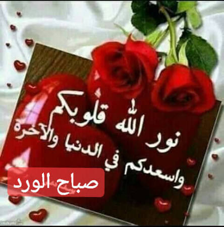 ،🌻🌼🌴🌹نوف ♥️🌸 tweet media