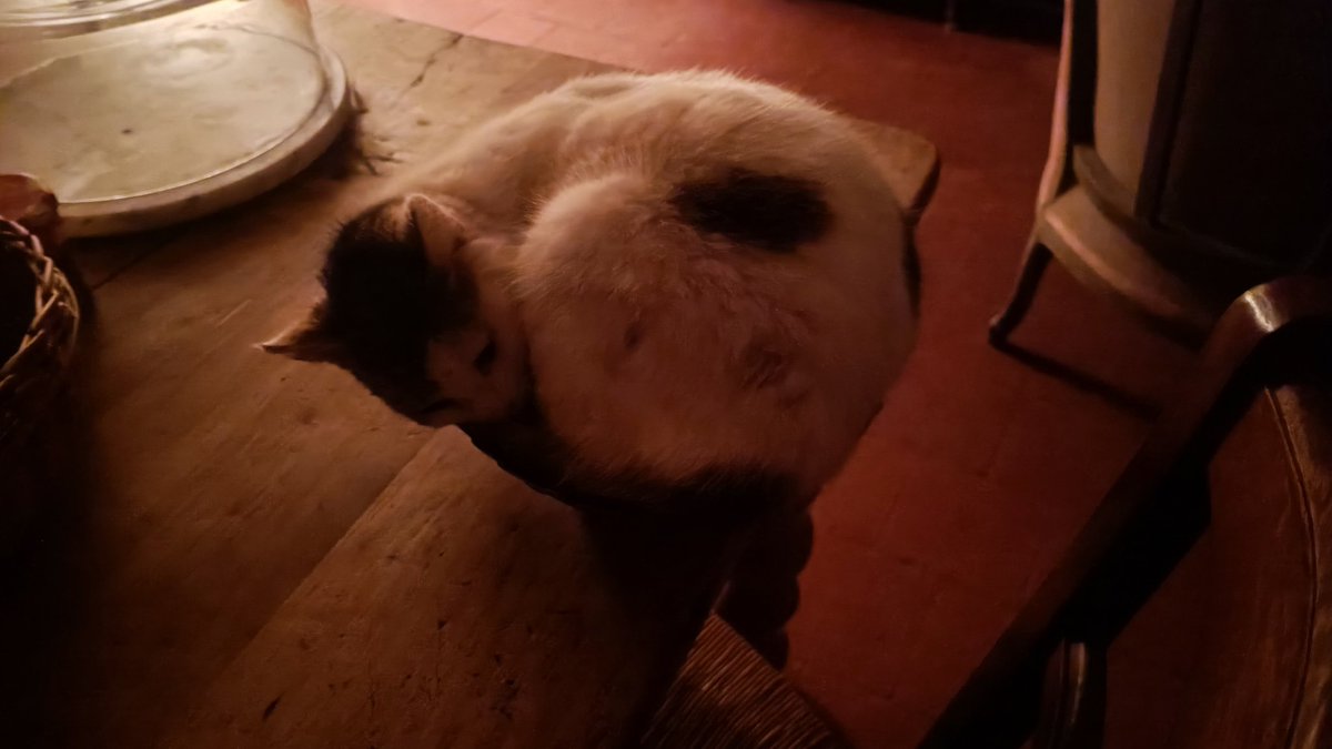 Soukie in her good place