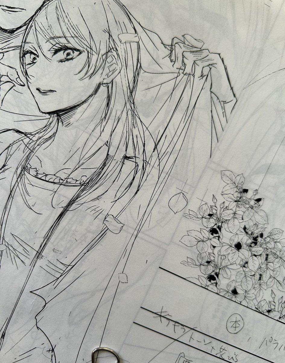 所ケメコ（日常・趣味用） tweet media