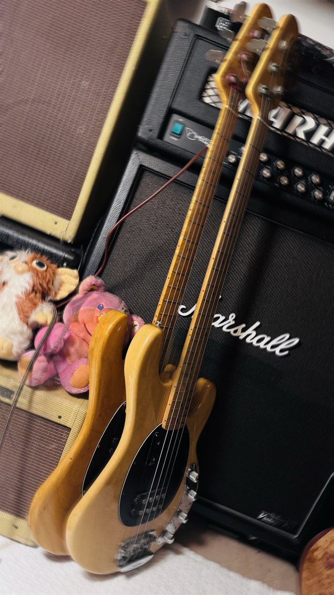 7Stringsむぅむぅ (@muumuu_7x_xj_) / Posts / X