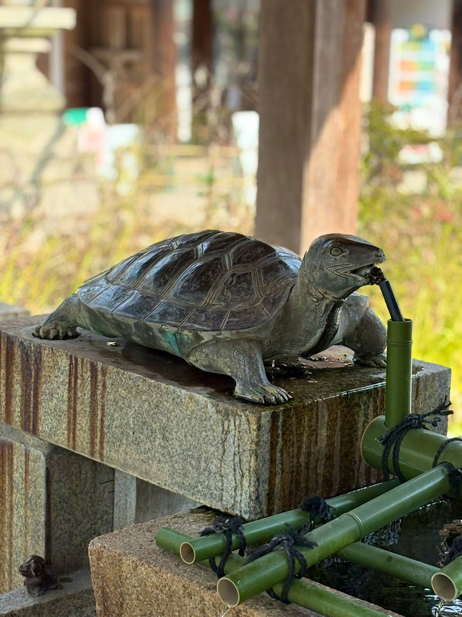 ネコ鉄ツアーズ@京都 松尾大社ぶらぶら🐈…