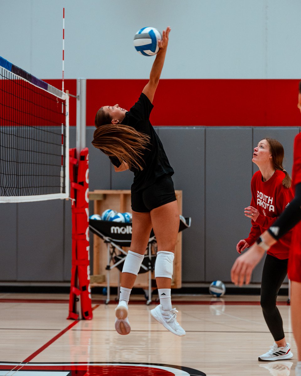 South Dakota Volleyball tweet media