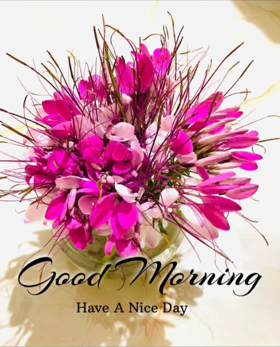 सुप्रभात मित्रों🙏
आपका दिन शुभ एवम मंगलमय हो यही प्रभु से कामना हैं 🙏
<a href="/naveen_vijh/">Naveen Vijh</a> <a href="/_Sweet_Parul_/">❤️ INDIAN ❤️</a> <a href="/Arvindkuma43649/">Arvindkumar Jha</a> <a href="/anitaahuja121/">ANIETA</a> <a href="/DineshK03975523/">Dinesh Khandelwal</a> <a href="/IncPantd69/">𝘿𝙞𝙣𝙚𝙨𝙝𝙋𝙖𝙣𝙩_𝙄𝙉𝘾</a> <a href="/AlamgirAli78255/">GUDDU BHAIYA</a> <a href="/RaksHakRaMj1/">🇮🇳ॐ༒ Inͥ∂iͣaͫn ॐ༒🇮🇳</a> <a href="/Chandanmgs123/">Chandan Singh Yadav</a>