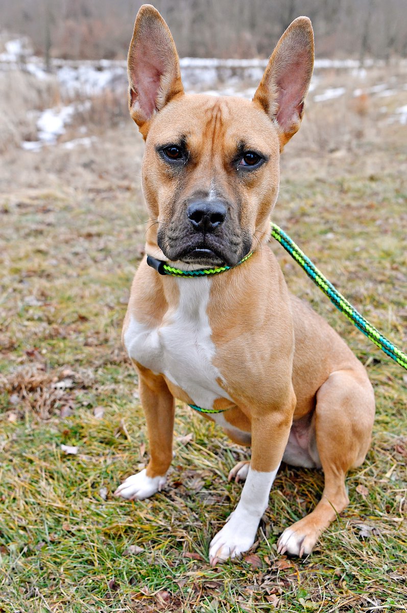 Dawn J. Sagert tweet media