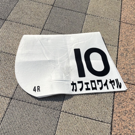 カフェロワイヤル引退……！ 初めての一口馬主で、推しの血統で出資を