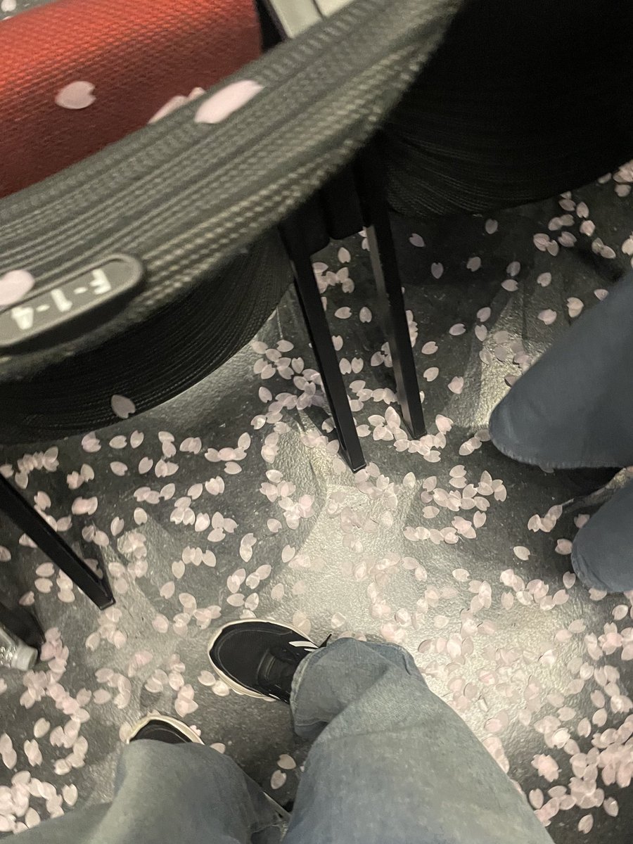 eitaku_hi's tweet photo. ガーデンシアターやっと映像で観れる！既に懐かしいな🌸痛みを知る人の優しさが詰まってるから楽しむぞ！って意気込んで行っても結局救われちゃうのがATSの音楽で…ふらっと遊びに行ったけど楽しめちゃうのがATSのライブ🥹間違いなく私たちのJ−POPSTAR

#AileTheShota #REALPOP https://t.co/Srwqmm1jsp