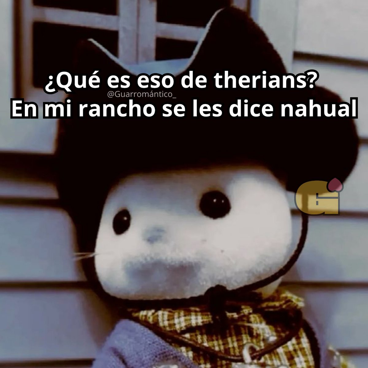 El Guarromántico tweet media