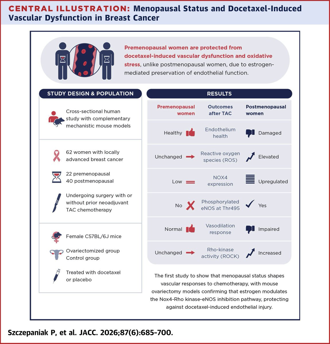 JACCJournals's tweet image. TAC-induced vascular dysfunction seen in breast cancer survivors is absent in premenopausal women, likely owing to estrogen-mediated protection against oxidative stress and eNOS inhibition.

Get the details: jacc.org/doi/10.1016/j.…

#JACC #ACCWIC #BCsm #Menopause #CardioOnc