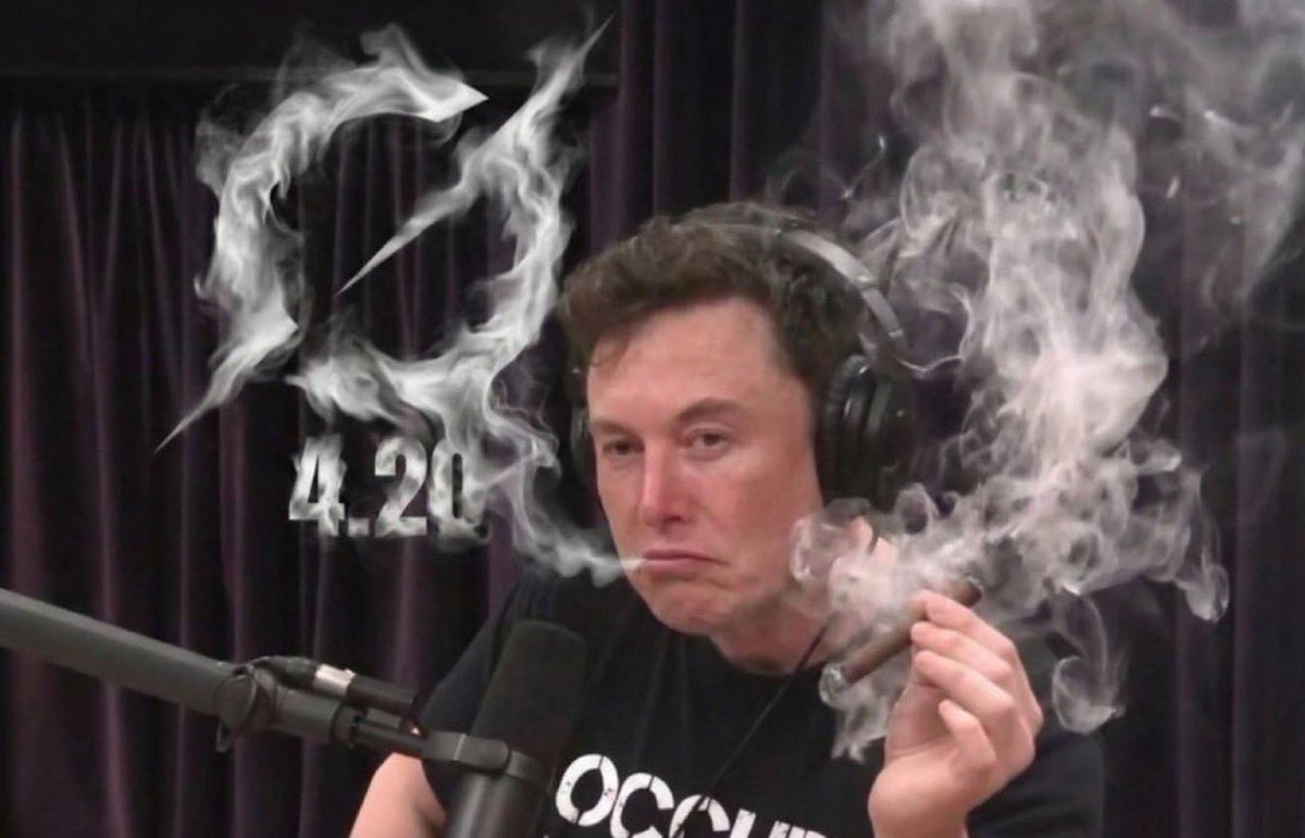 Bear in mind, those who don’t remember history are tend to repeat it. <a href="/elonmusk/">Elon Musk</a>  is on the right side of the history because he smokes the good stuff 😂. Bearly Legal!