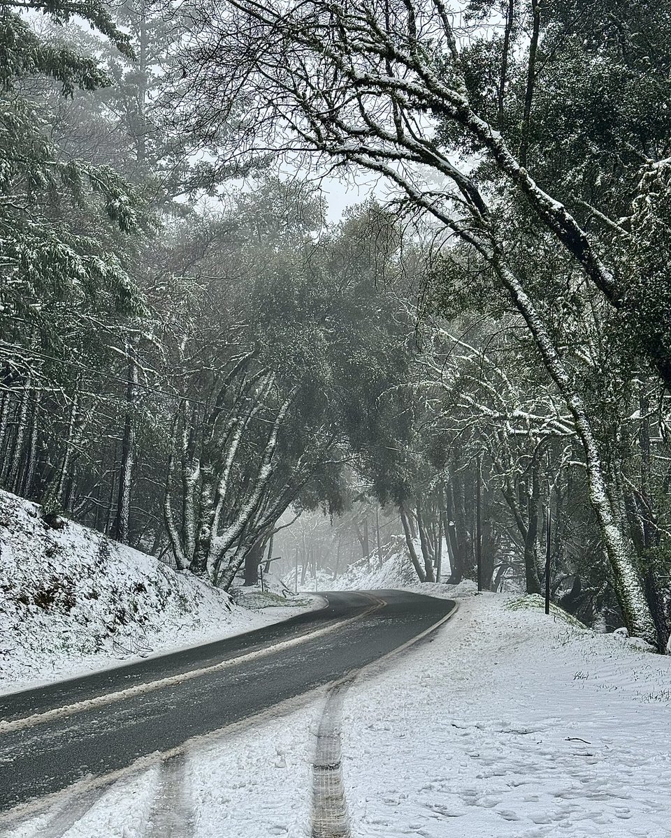 A few images from today’s snow in the Santa Cruz Mountains
