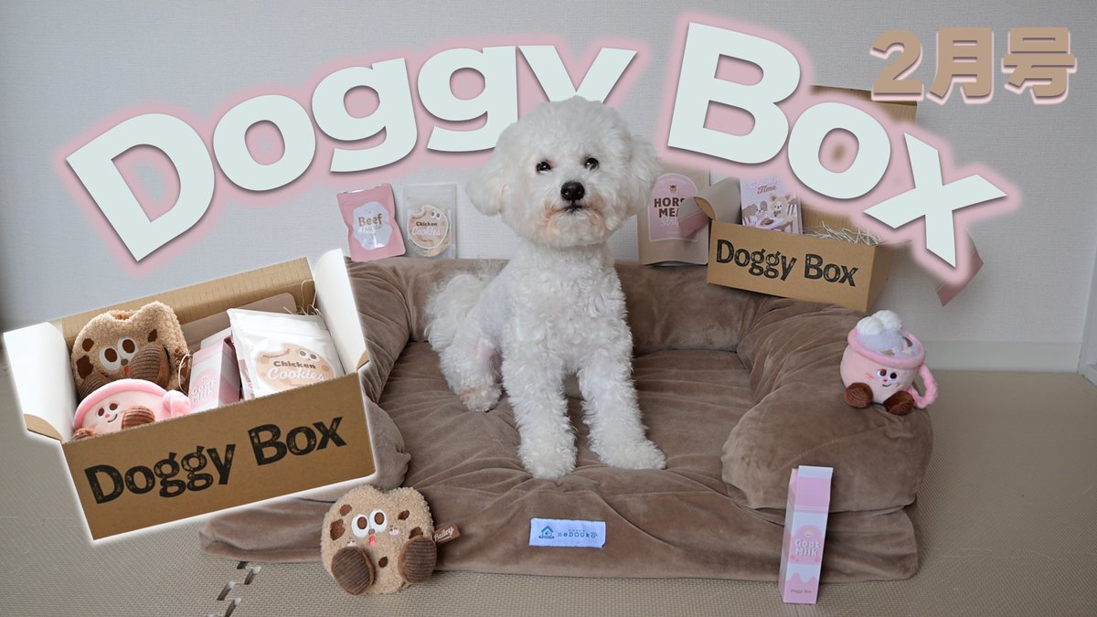 soie230429's tweet photo. 話題の犬用サブスク🐻‍❄️Doggy Box2月号を徹底紹介！人気おやつ3種から真の1位を検証✨愛犬リアクション必見🎁

【衝撃開封】ドギーボックス2月号が当たり回すぎた…愛犬の反応が最高 https://t.co/MTau7dVkXq @YouTubeより https://t.co/ncLZYthY3I