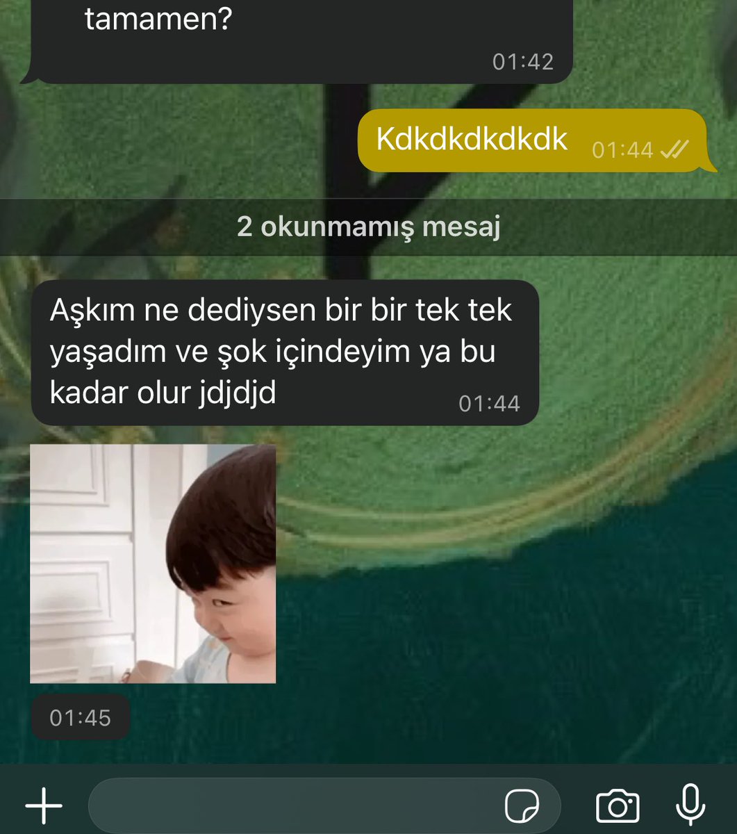 𝑅𝑎𝑝ℎ𝑎𝑒𝑙 tweet media