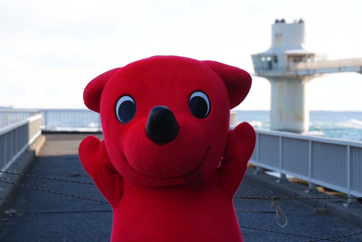 ねここ (@fukuneko110422) / Posts / X