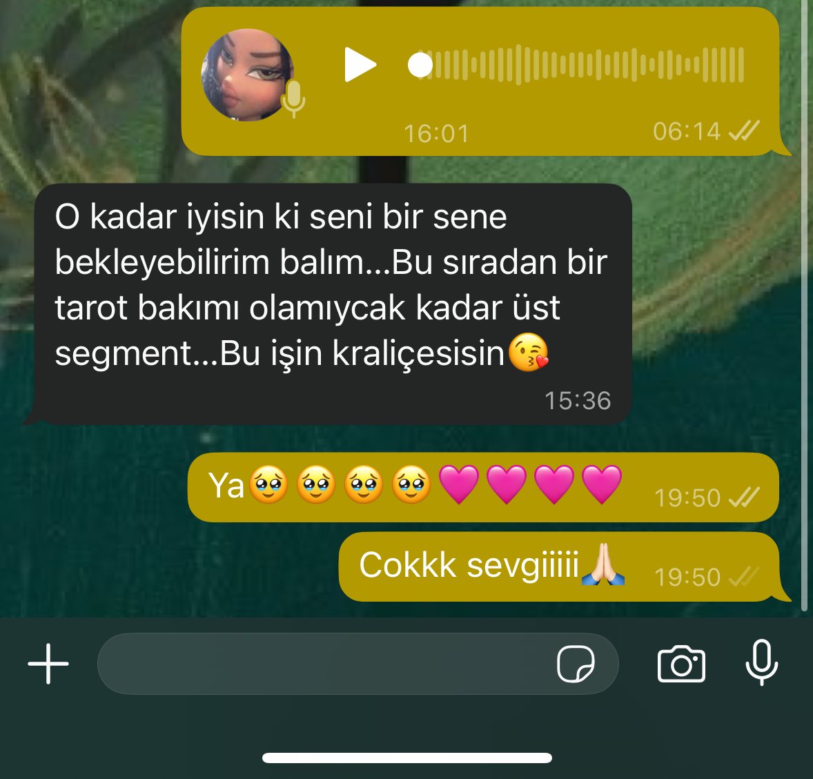 𝑅𝑎𝑝ℎ𝑎𝑒𝑙 tweet media