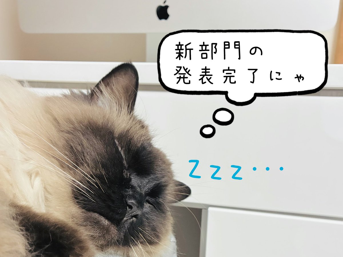SIAMDOLL2021's tweet photo. SIAMDOLL新部門ロゴ生成技術習得😉
無限の創造性と好奇心を表現にゃ😽🐾

[AI x Imagination x Design]
宇宙の様に広がる発想と
AIによって生まれる新しい表現
SIAMDOLL GENERATIVE LAB
始動します！

※PRショート動画も作成😁🎥
夢の世界で発表会したにゃ🐈💤
#生成AI #SIAMDOLL #猫のいる暮らし https://t.co/KQfWs0Q316