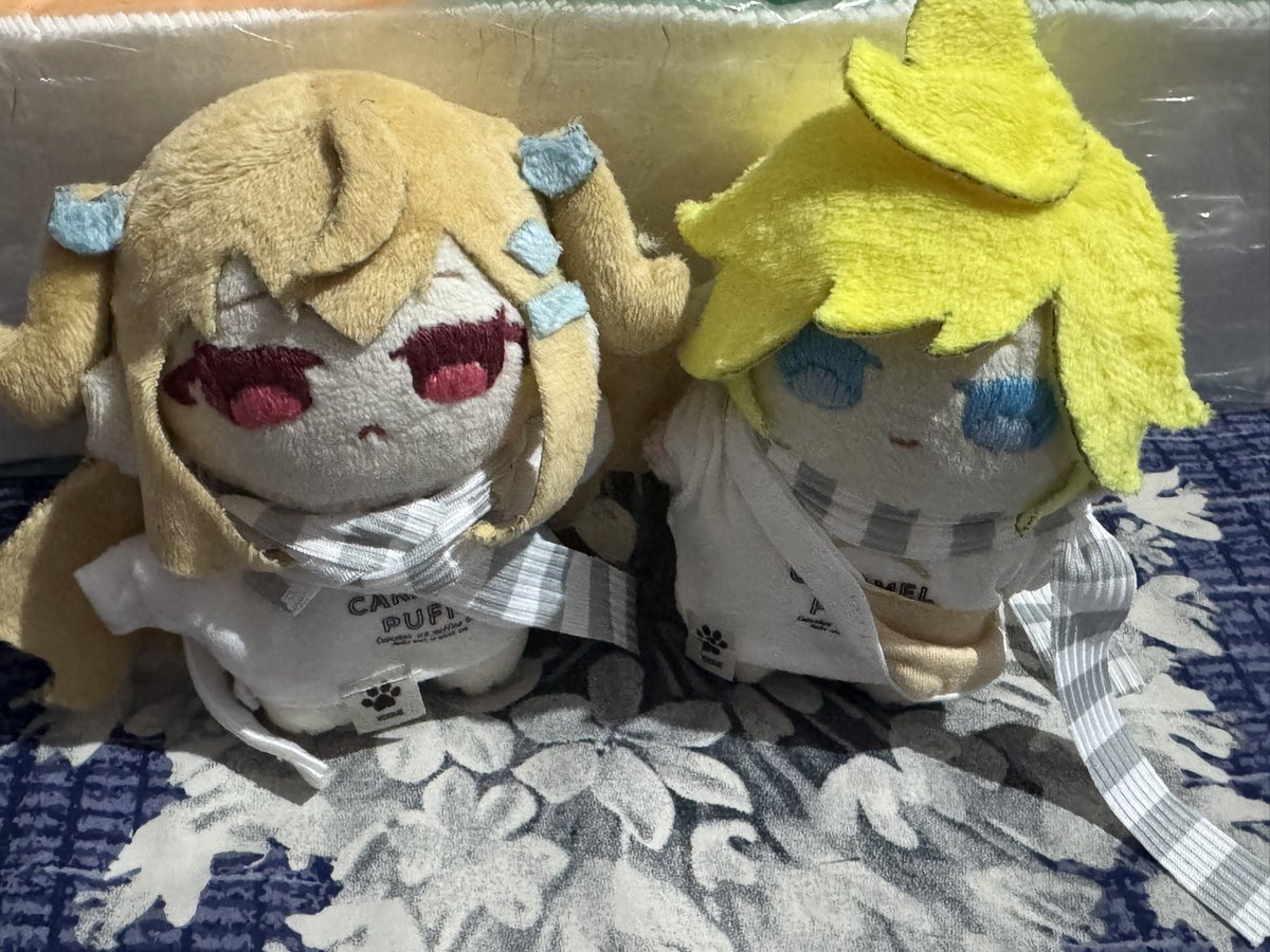Chaafiwa's tweet photo. Couple https://t.co/J7So1fojEk