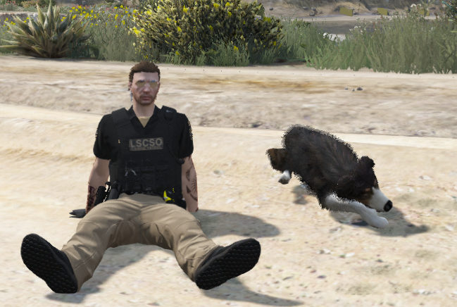 🍀Flunky SilverFang 🦊 tweet media