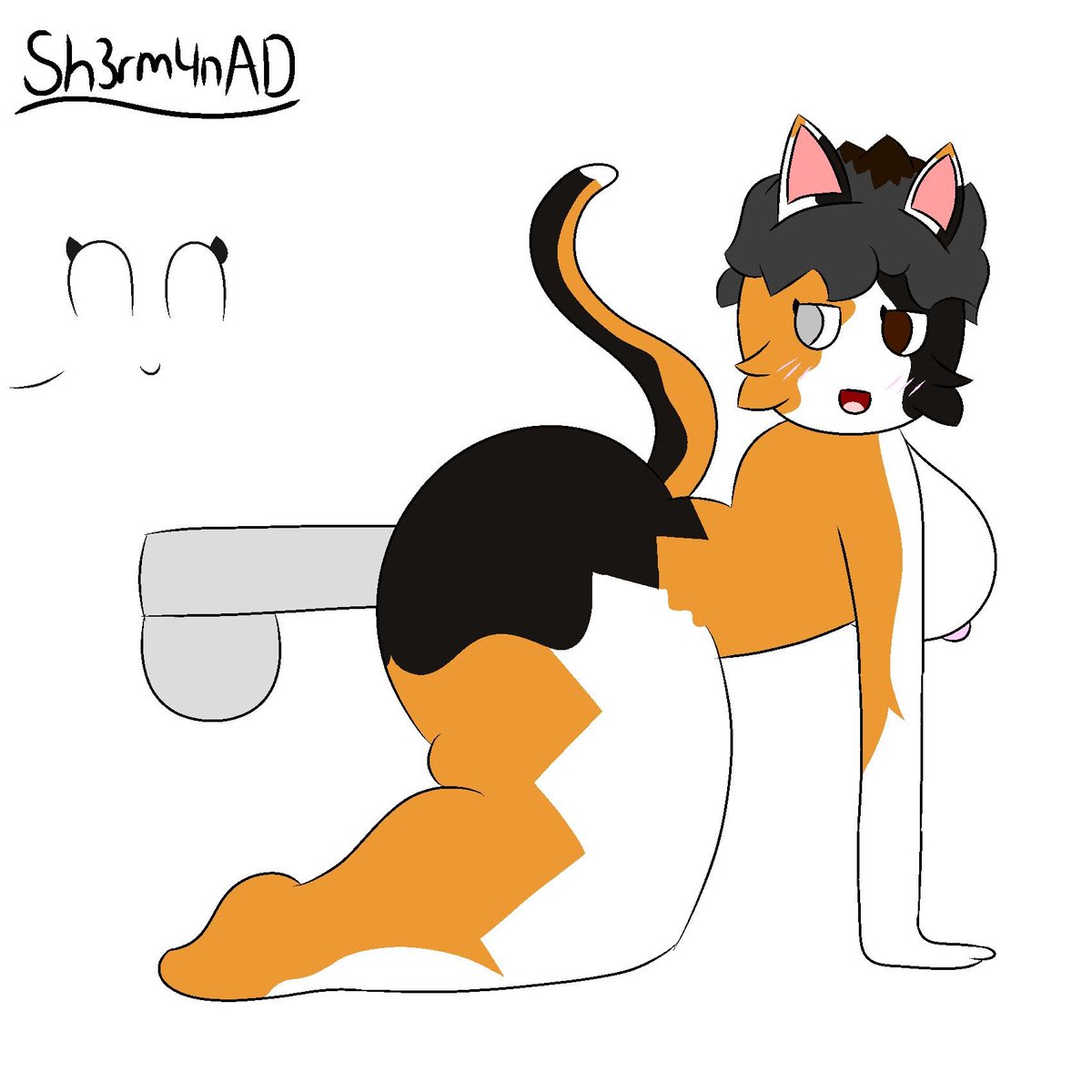 RT @sh3rm4nAD: Commission for @Rule34Collector - this cute kitty