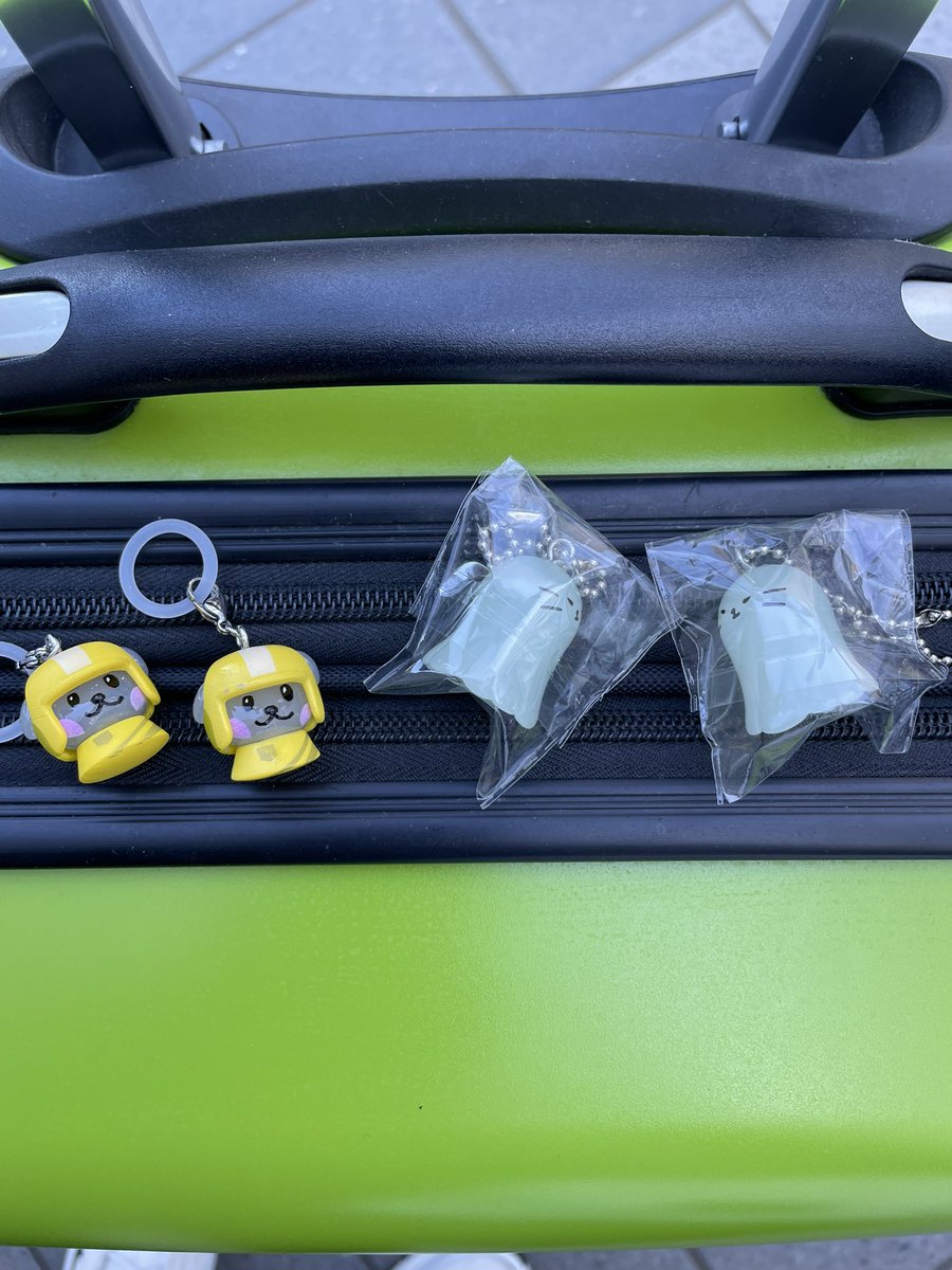 こぐま tweet media