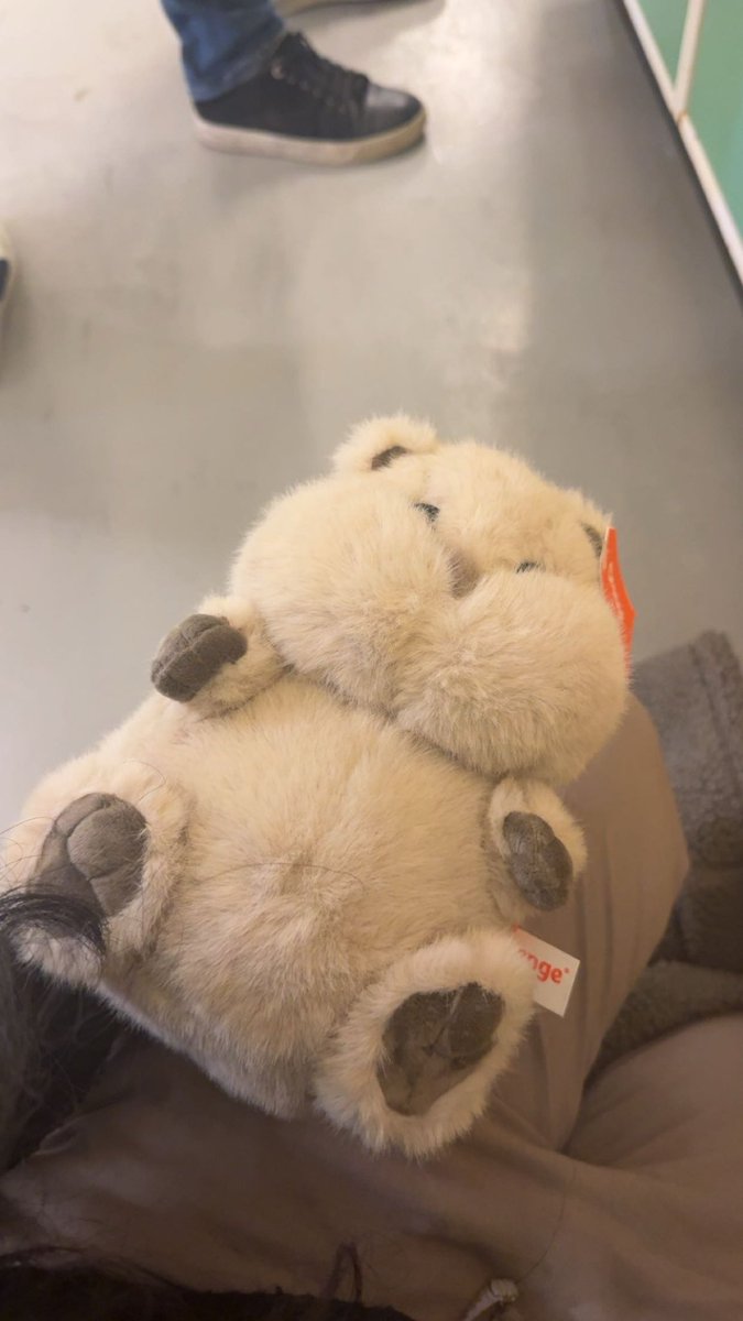 JSqxCv668GJ (@dillon859688437) on Twitter photo 