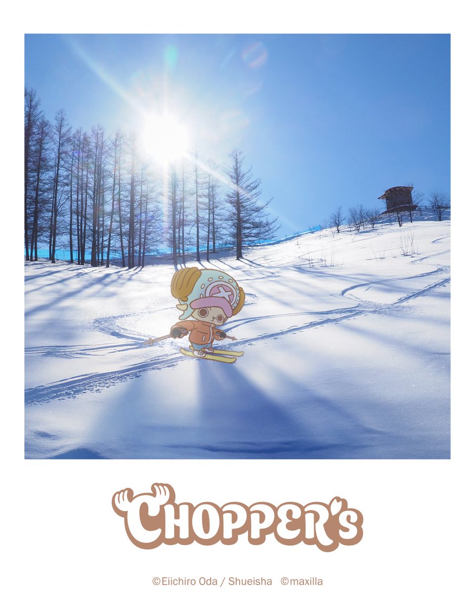 choppers_op's tweet photo. スキーたのしかった🎿

#CHOPPERS_ONEPIECE https://t.co/96wLIBr3fJ