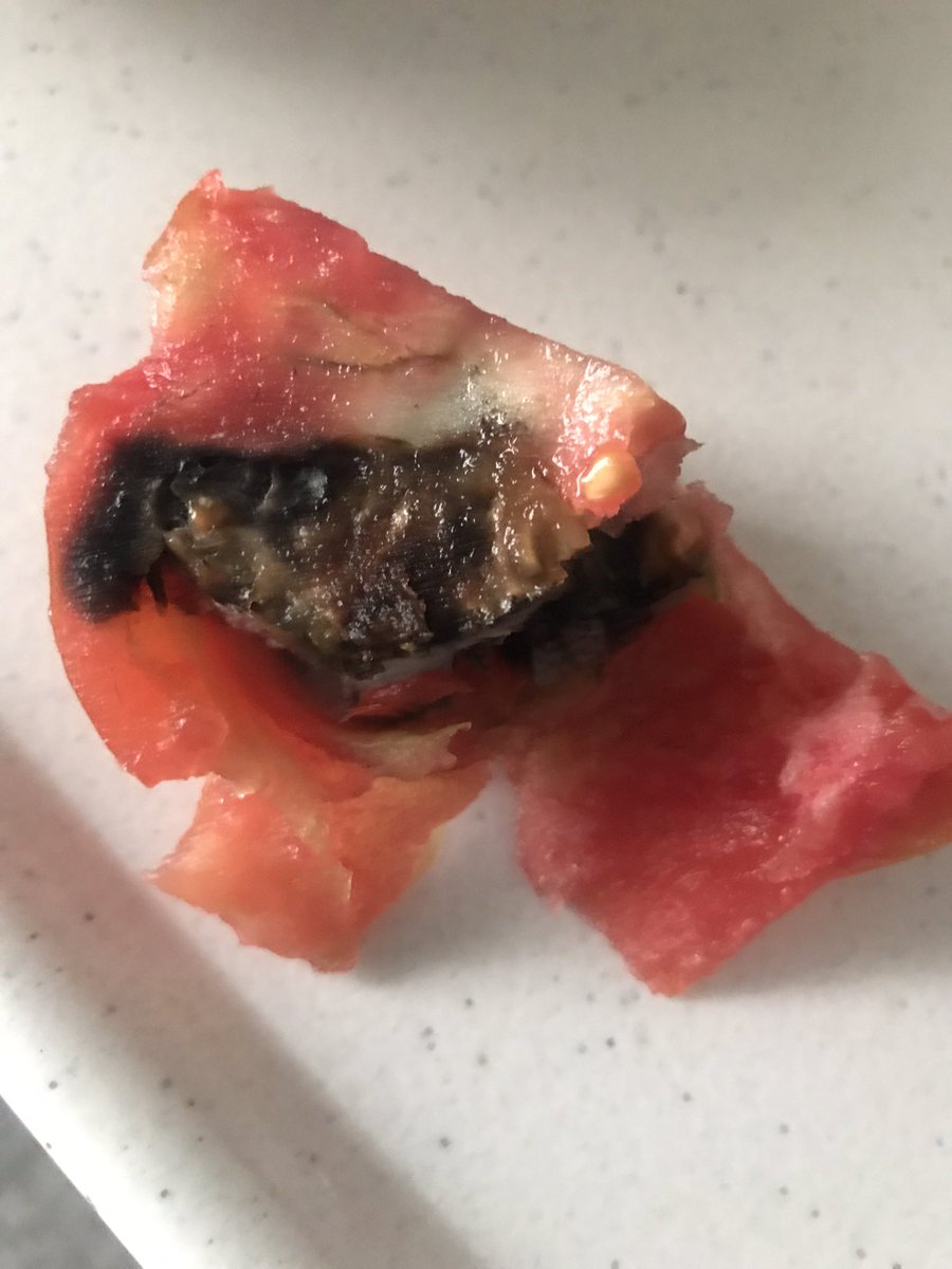 #11AyınSultanı bize domates diye ne yediriyorsunuz kardeşim <a href="/TCTarim/">T.C. Tarım ve Orman Bakanlığı</a> <a href="/RTErdogan/">Recep Tayyip Erdoğan</a> <a href="/tc_cimer/">Cimer</a> <a href="/muratagirel/">Murat AĞIREL</a> <a href="/halktvcomtr/">Halk TV</a> <a href="/gazetesozcu/">Sözcü</a> <a href="/TBMMresmi/">TBMM</a> <a href="/Akparti/">AK Parti</a>