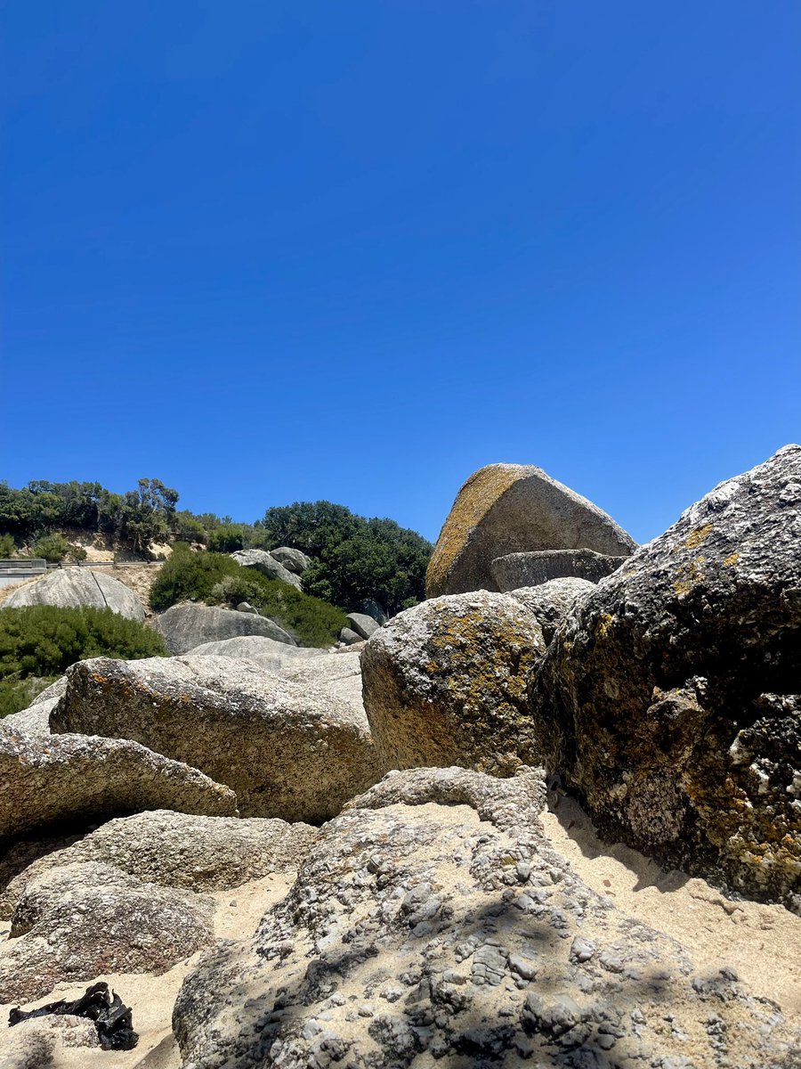 Viscount ⚔️ tweet media