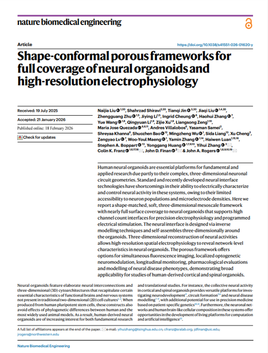 ProfJohnARogers's tweet photo. If you’re interested in organoid biology and/or 3D bioelectronics, then check out our paper published today in Nature Biomedical Engineering, titled ‘Shape-conformal porous frameworks for full coverage of neural organoids and high-resolution electrophysiology,’ at https://t.co/Y7MzvRQKTm.  This work introduces a technology that enables advanced electrophysiological characterization and modulation of neural activities through shape-matched, soft, 3D mesoscale frameworks with nearly full surface coverage to neural spheroids with millimeter and sub-millimeter diameters. The result provides, for the first time, high channel count interfaces for precision electrophysiology and programmed electrical stimulation in these and related small-scale tissue constructs. Hundreds of individually addressable microelectrodes enable single unit neuronal recording of network-level activity across the entire surfaces of organoids, as well as direct 3D reconstruction of neural activities for spatial electrophysiology, as demonstrated for both human cortical and spinal organoids. The engineering science that underpins these unique features spans across a combination of strategies in deterministic 3D assembly, material architectures through computational inverse modelling, and confined growth techniques. These features, together with capabilities in programmed electrical stimulation, simultaneous fluorescence imaging, and longitudinal recording, are of particular value for broad organoid research, as demonstrated here for pharmacological studies, localized optogenetic stimulation, neural circuit manipulation, and modelling of neural disease phenotypes.  Big thanks to Dr. @naijia_liu99833 (a postdoc in our group here at @NorthwesternU) for his essential leadership across all aspects of this project, with important collaborations involving mechanical engineers in the groups of Prof. Yihui Zhang (former joint postdoc with Prof. Yonggang Huang, now on the faculty at @Tsinghua_Uni ), Prof. John D. Finan (at @thisisUIC) and Prof. Yonggang Huang, along with neuroscientists and clinicians in the group of Prof. @colin_franz (at @AbilityLab)! Thanks also to @amanda_mo for a nice write-up on our work for Northwestern News, at https://t.co/v0G8V04byZ.