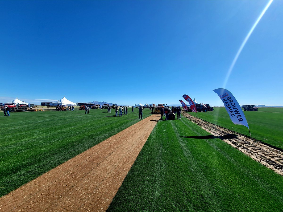 Evergreen Turf tweet media