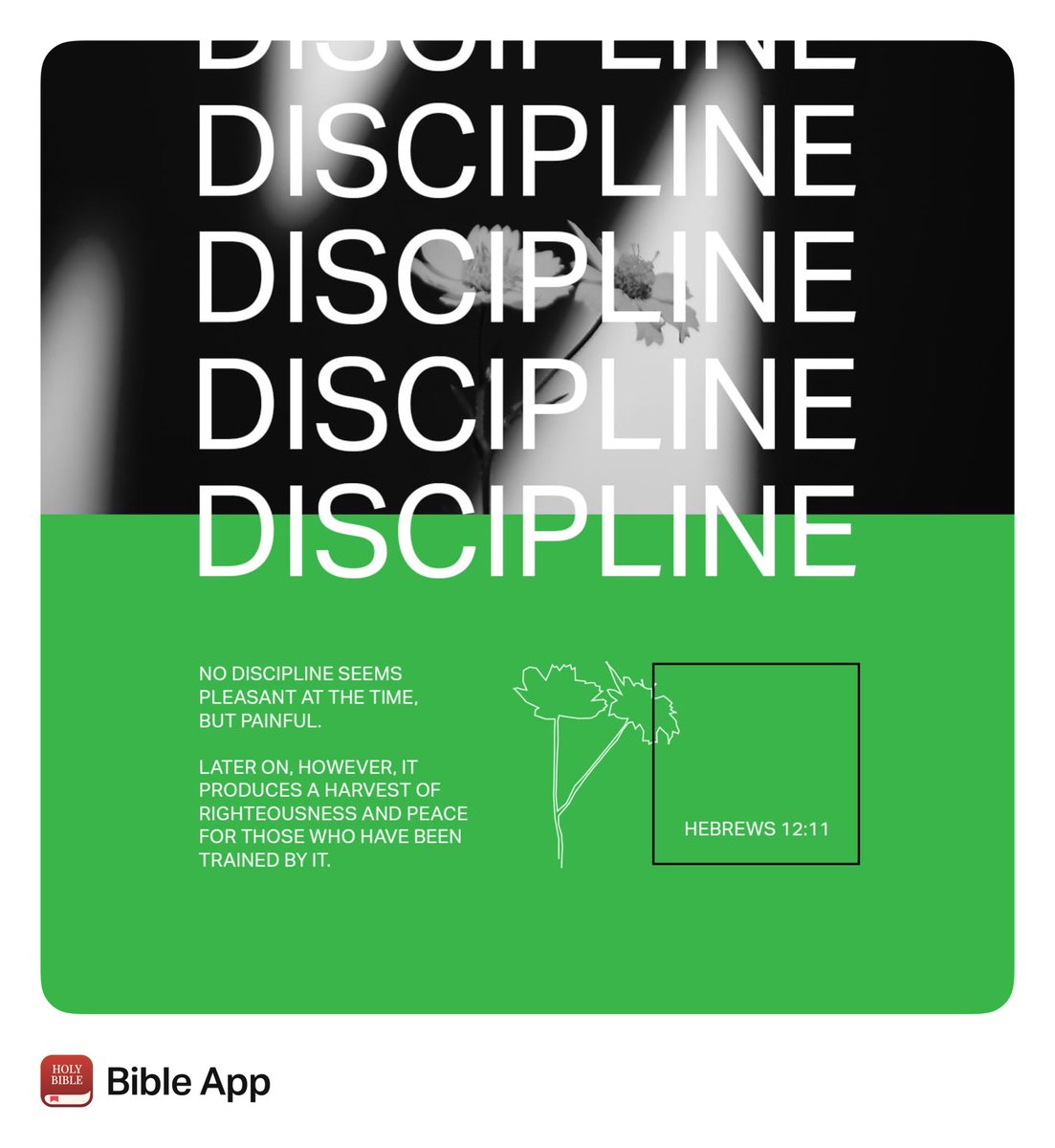 ed powell (@pluckiepeewee) on Twitter photo 