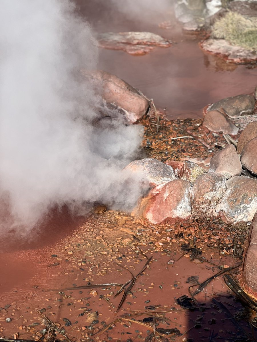 🌸🐈‍⬛Mix🐈🚗With a heart that thinks of people (@8779_valentine) on Twitter photo 