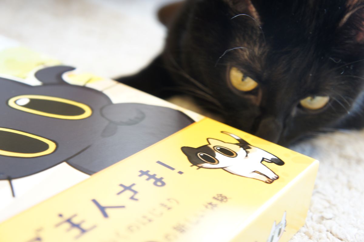 新しいゲームが増えました！ ・にゃん生すごろく ・黒猫あわせ 黒猫は