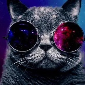 DraggerGab51939's tweet photo. #NovaFotoDePerfil https://t.co/8ovxVqXtNX