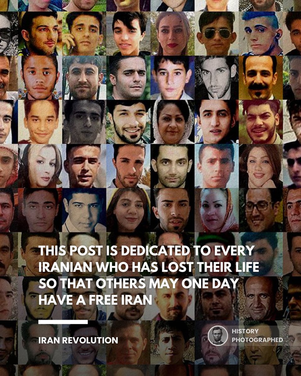 History Photographed tweet media