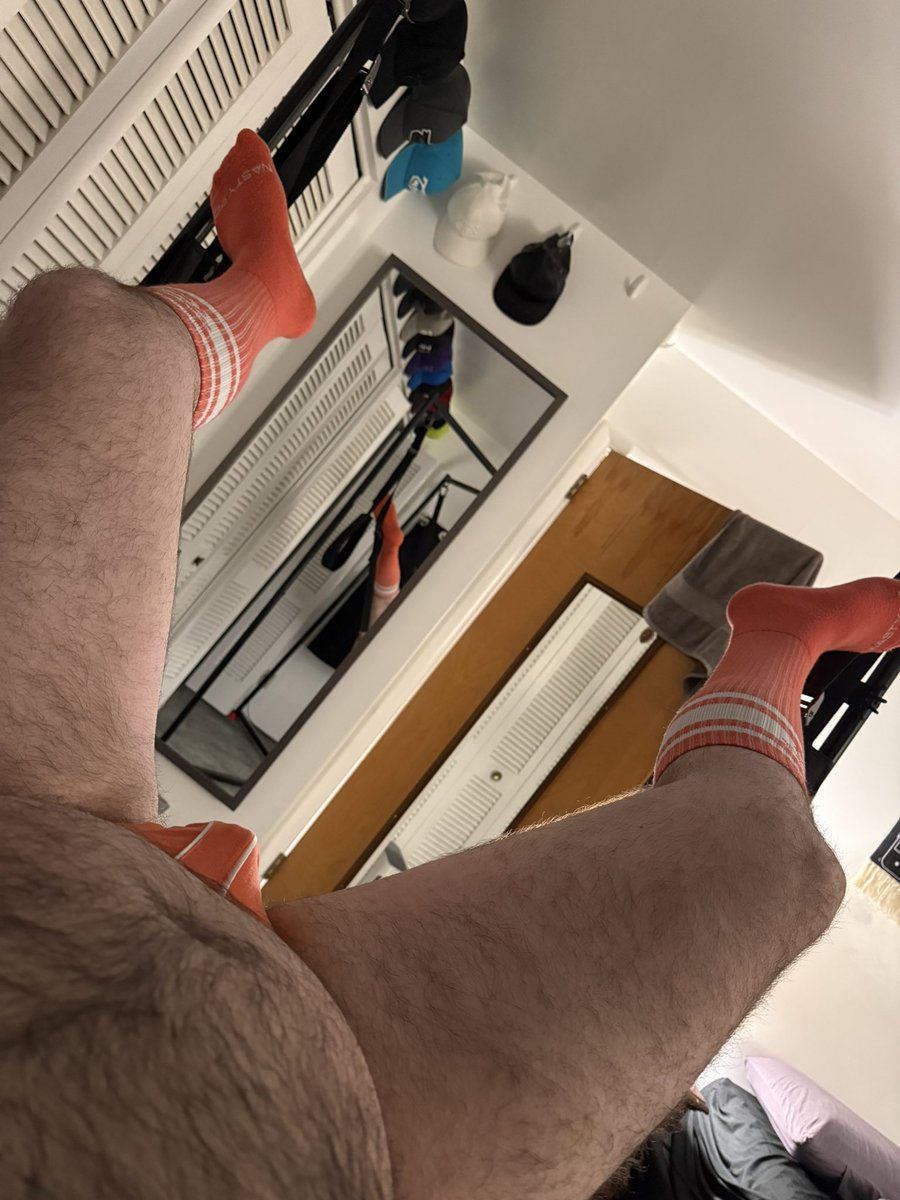 BellBears22 tweet media