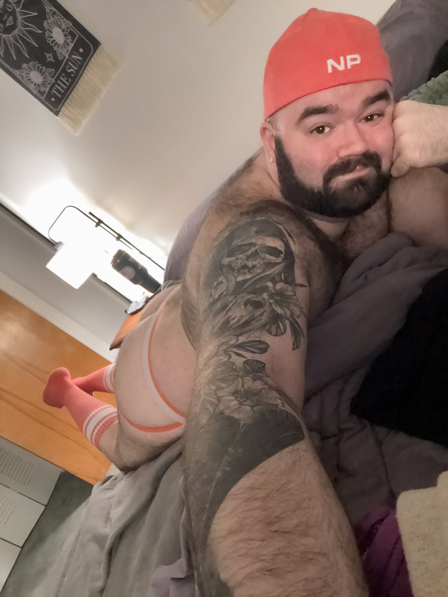BellBears22 tweet media