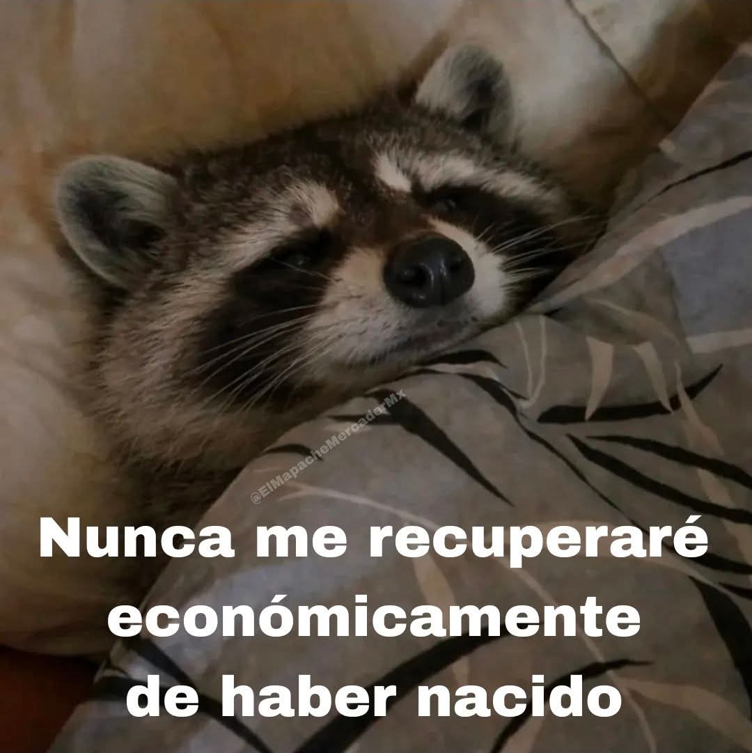 En Júpiter (@en_jupiter_) on Twitter photo 
