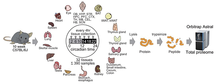 Science Japan tweet media