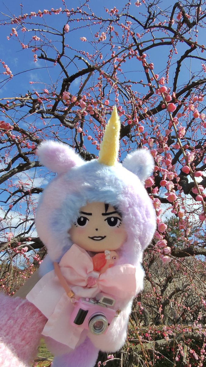 ちびかめちゃんと万博記念公園の梅まつりに行きました🩷ハピバアクスタ