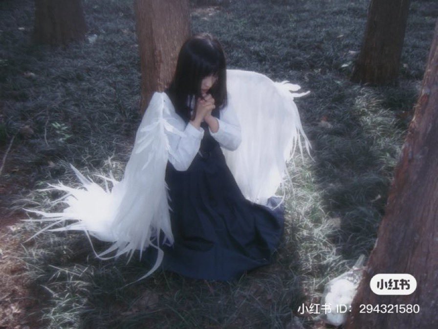 David (研究) 🙂 tweet media