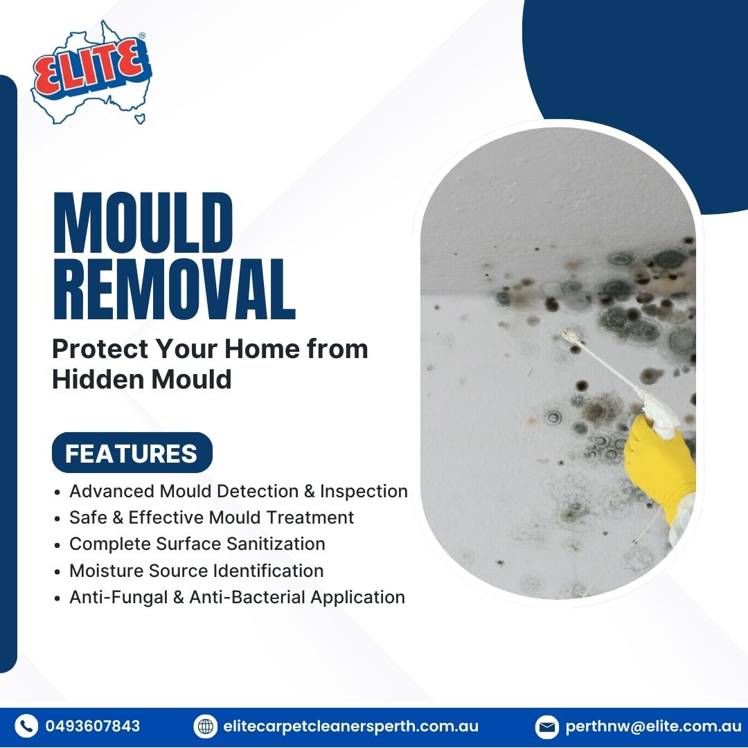 Elite Carpet Cleaner Perth tweet media