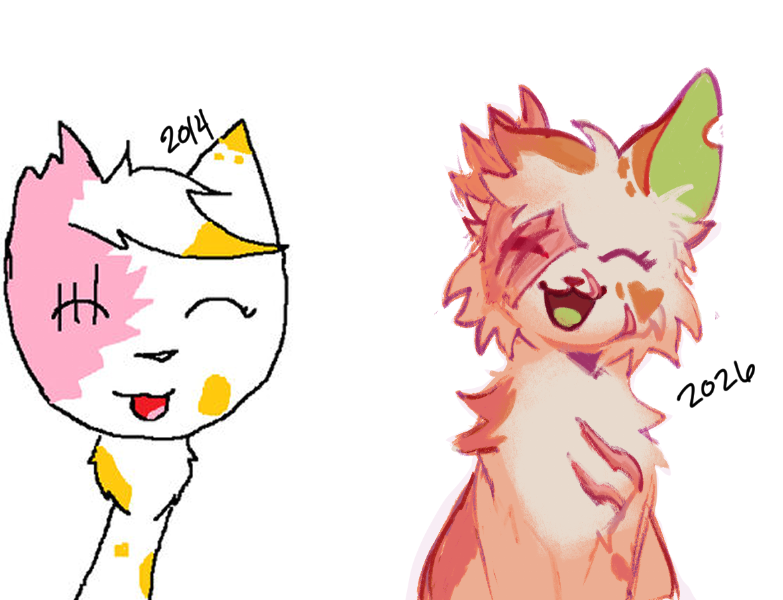 cat 🏴☠️⚔ tweet media