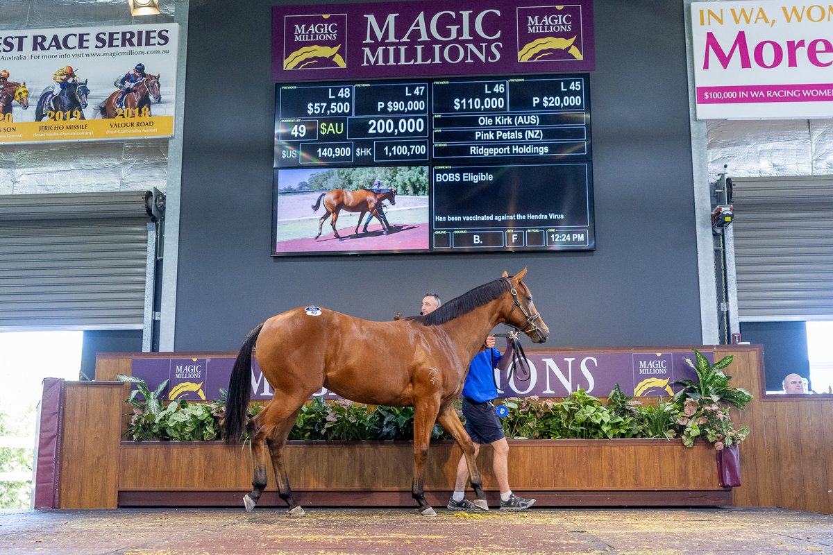 Magic Millions tweet media