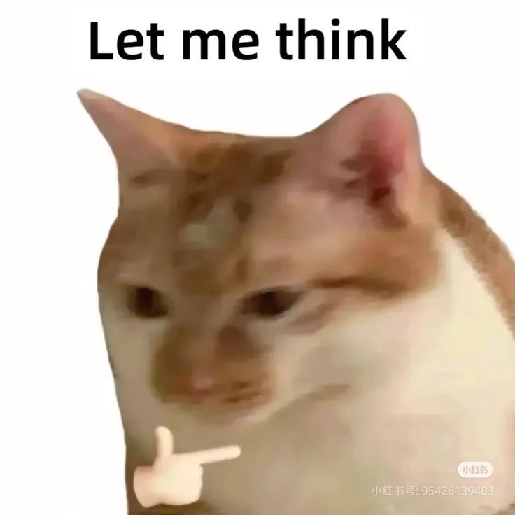 People have shower thoughts, me? I have  crazy dumb shit thoughts so here is part 1 of those thoughts.
"Shut your bitch ass up before I slap your tits for looking at me."