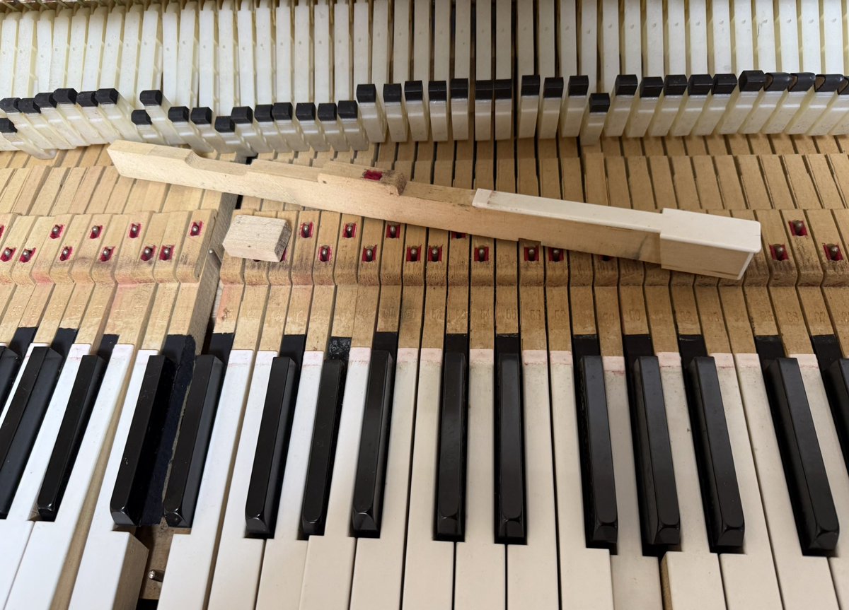 TIO101101's tweet photo. rhodes piano mark Ⅰのオーバーホール

鍵盤の破損箇所が多数
これは大掛かりなリペアになりそうです…

(rhodes pianoの修理は受け付けておりません🙇‍♂️) https://t.co/HL2y337lWf