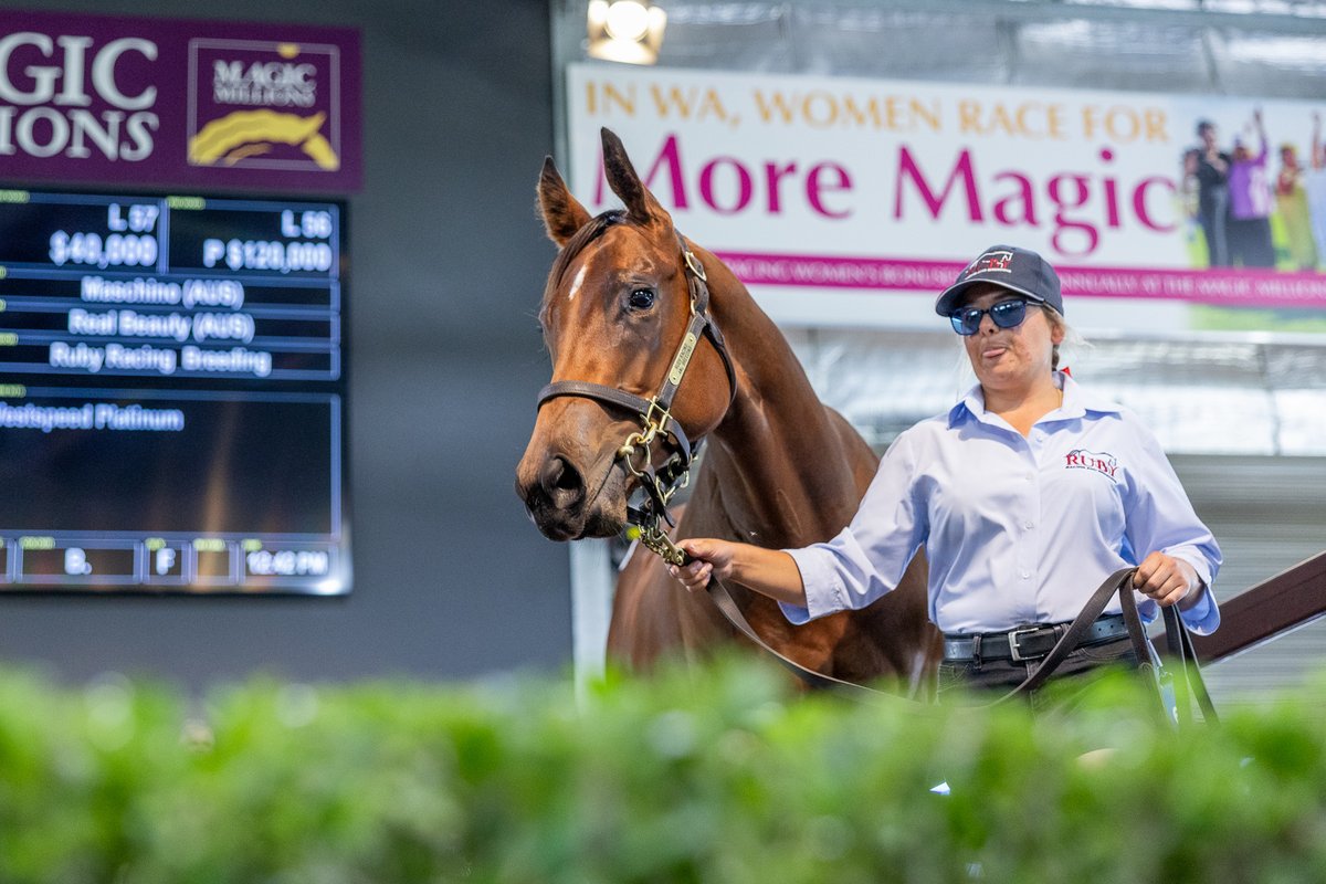Magic Millions tweet media