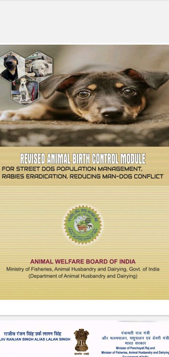 Object/Being tweet media